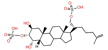 5b-Cholest-25-en-2b,3a,4a,21-tetrol 3,21-disulfate